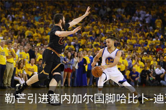 勒芒引进塞内加尔国脚哈比卜-迪亚洛，合同至2029年